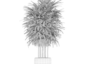 Plants collection 171 3D Model