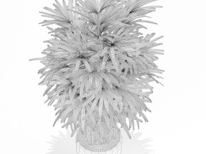 Plants collection 171 3D Model