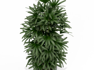Plants collection 172 3D 모델