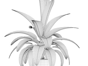 Plants collection 173 3D-Modell
