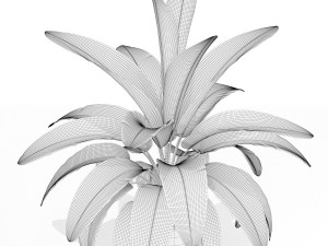 Plants collection 173 3D-Modell