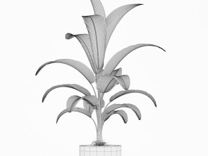 Plants collection 173 Modello 3D