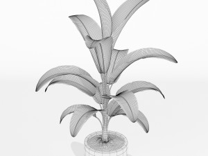 Plants collection 173 Modello 3D