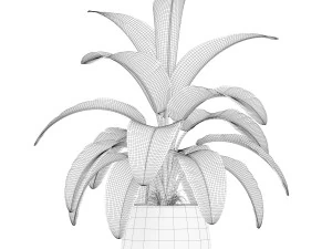 Plants collection 175 3D Model