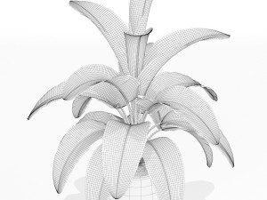 Plants collection 175 3D 모델