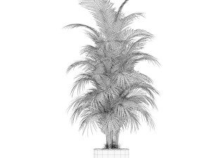 식물채집 176 3D 모델