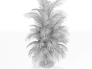 식물채집 176 3D 모델