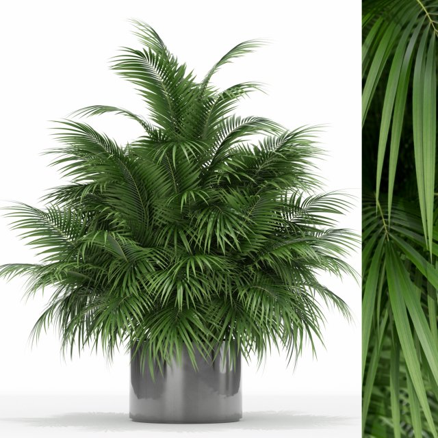 Plants collection 177 3Dモデル .c4d .max .obj .3ds .fbx .stl .blend 