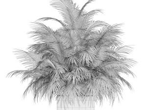 Plants collection 177 3Dモデル