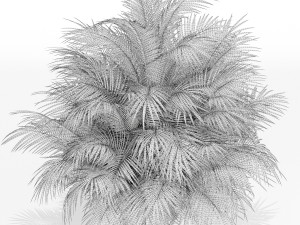 Plants collection 177 3Dモデル