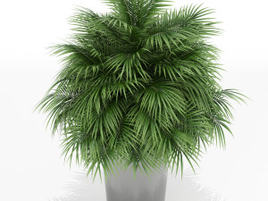 Plants collection 178 Modelo 3D
