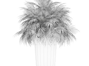 Plants collection 178 Modelo 3D