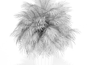 Plants collection 178 Modelo 3D