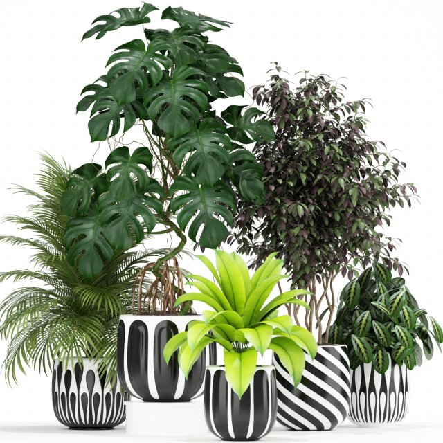 Plants collection 179 3D मॉडल .c4d .max .obj .3ds .fbx .stl .blend 