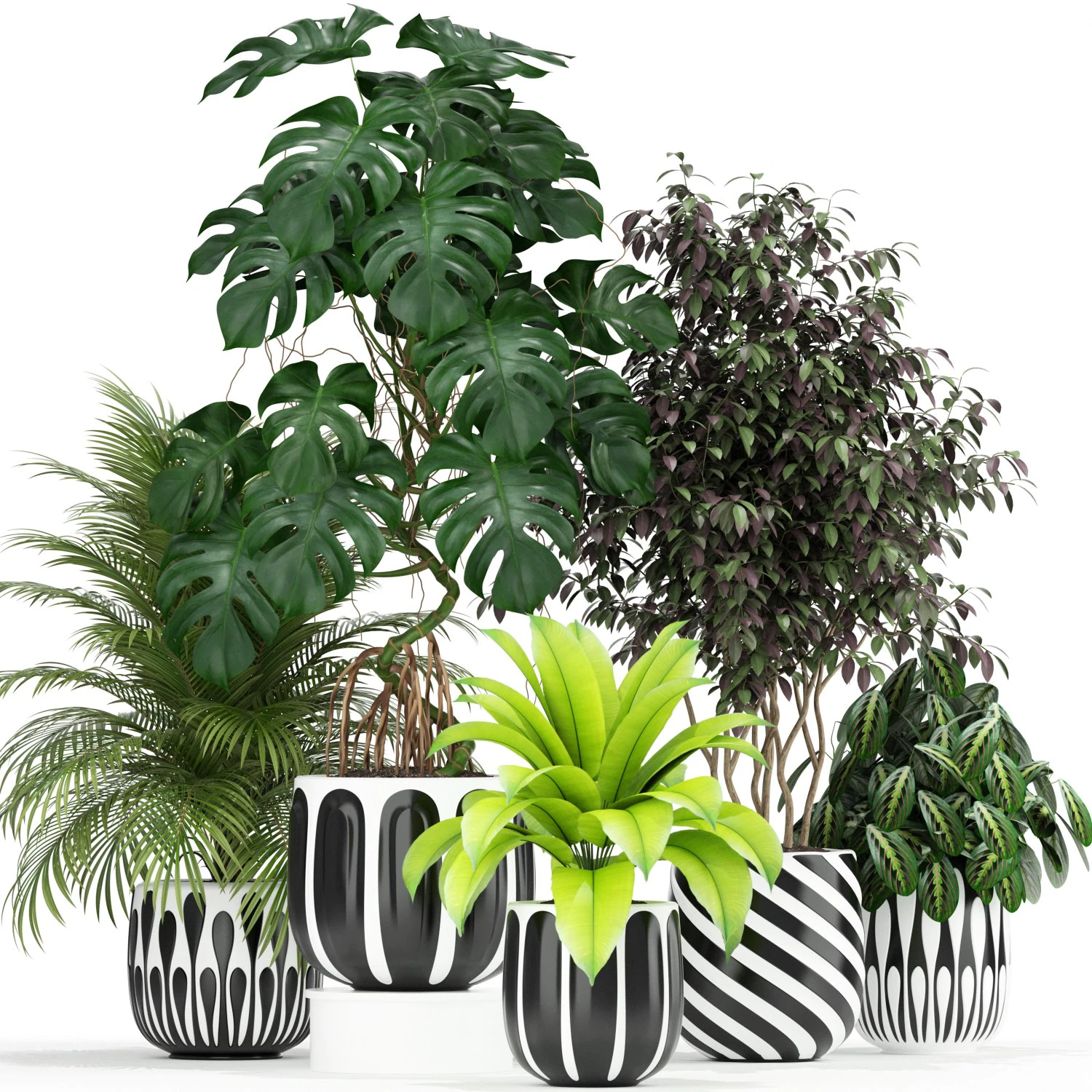 Plants collection 179 3D Model .c4d .max .obj .3ds .fbx .stl .blend