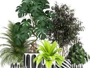 Cole&ccedil;&atilde;o de plantas 179 Modelo 3D