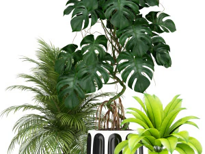 Plants collection 179 3D Model