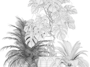 Plants collection 179 3D Model