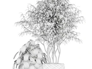 Plants collection 179 3D Model
