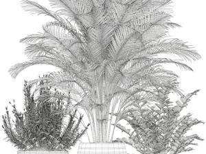 Plants collection 180 3D Model