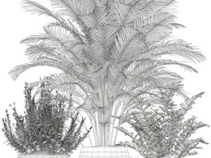 植物收藏 180 3D 模型