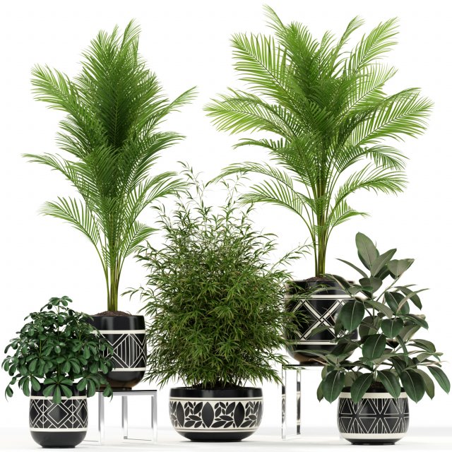 Plants collection 181 3D 模型 .c4d .max .obj .3ds .fbx .stl .blend 