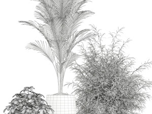 Plants collection 181 3D 模型