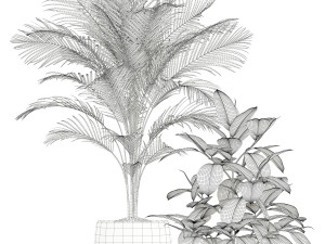 Plants collection 181 3D 模型