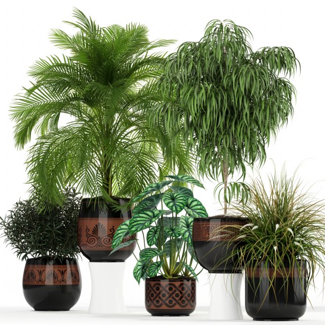 Plants collection 182 3D Модель .c4d .max .obj .3ds .fbx .stl .blend 