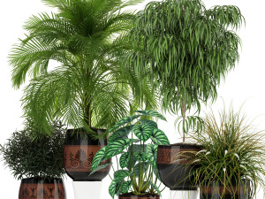 Plants collection 182 Modello 3D