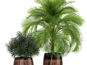 Colecci&oacute;n de plantas 182 Modelo 3D