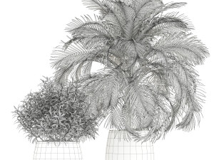 Plants collection 182 3D Модель