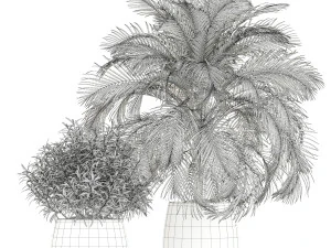 Colecci&oacute;n de plantas 182 Modelo 3D