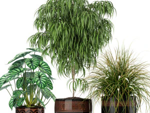 Colecci&oacute;n de plantas 182 Modelo 3D