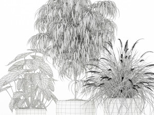 Plants collection 182 3D Модель