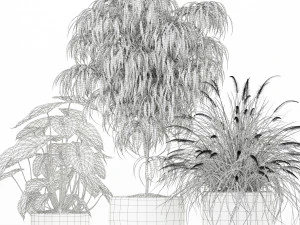 Colecci&oacute;n de plantas 182 Modelo 3D