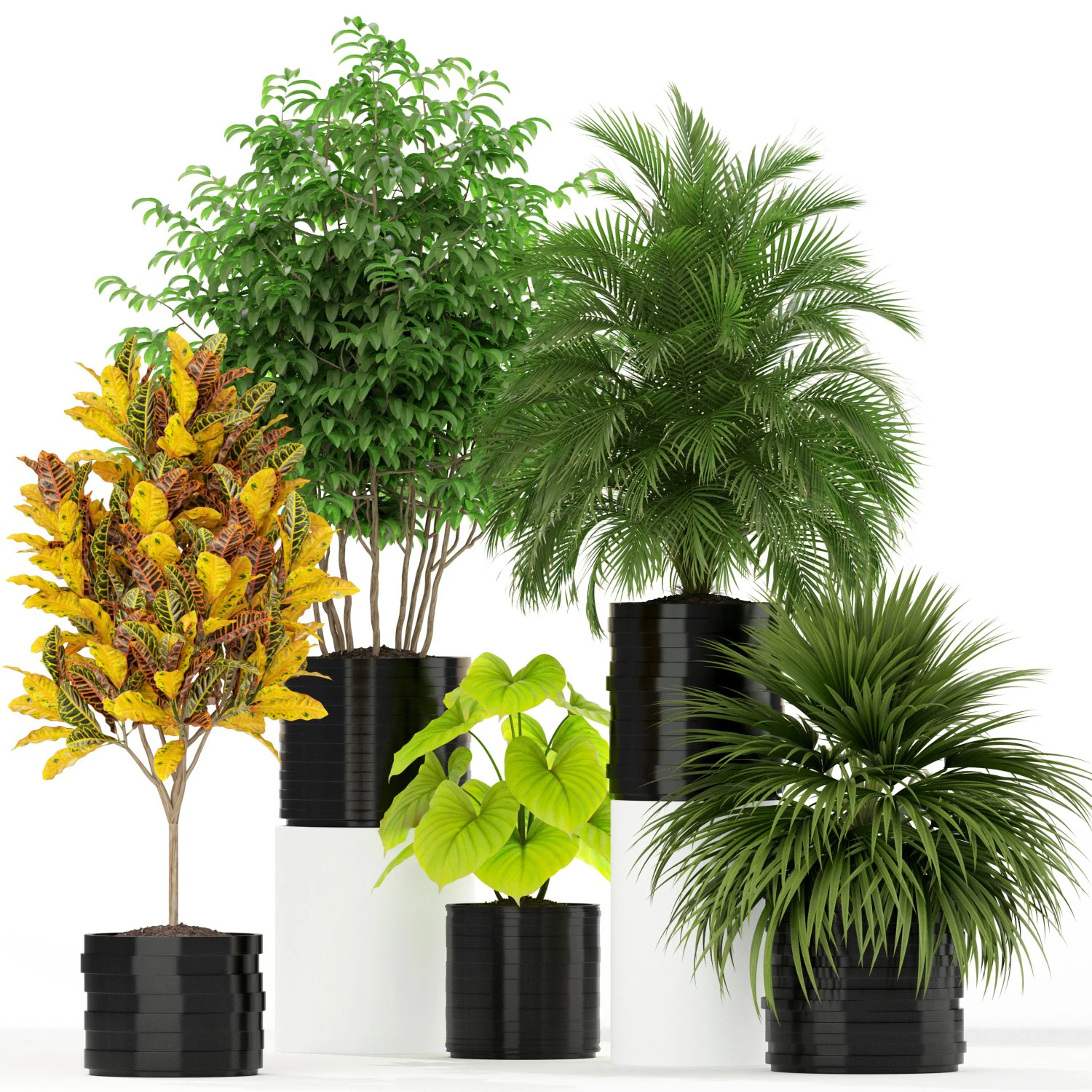 Plants collection 183 3D Model .c4d .max .obj .3ds .fbx .stl .blend 