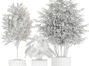 Plants collection 183 Modèle 3D