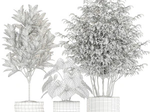 Plants collection 183 3D Model