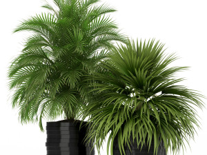 Plants collection 183 Modèle 3D