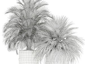 Plants collection 183 Modèle 3D