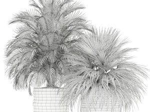 Plants collection 183 3D Model