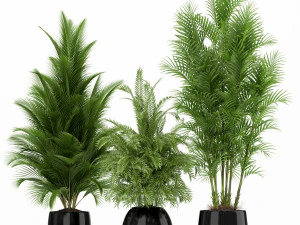 Plants collection 184 3D Model