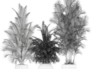 Plants collection 184 3D Model