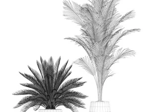 Plants collection 184 3D Model