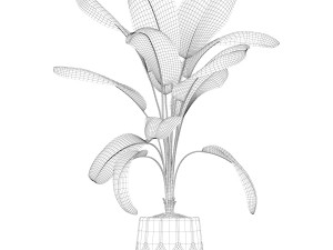 Plants collection 185 Modelo 3D
