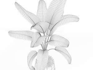 Plants collection 185 Modelo 3D