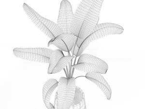 Plants collection 185 3D Model