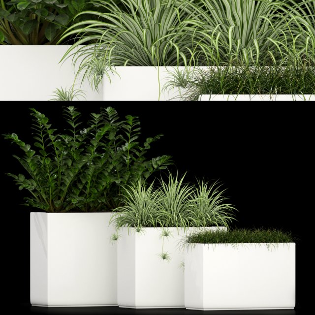 Plants collection 186 3D मॉडल .c4d .max .obj .3ds .fbx .stl .blend 