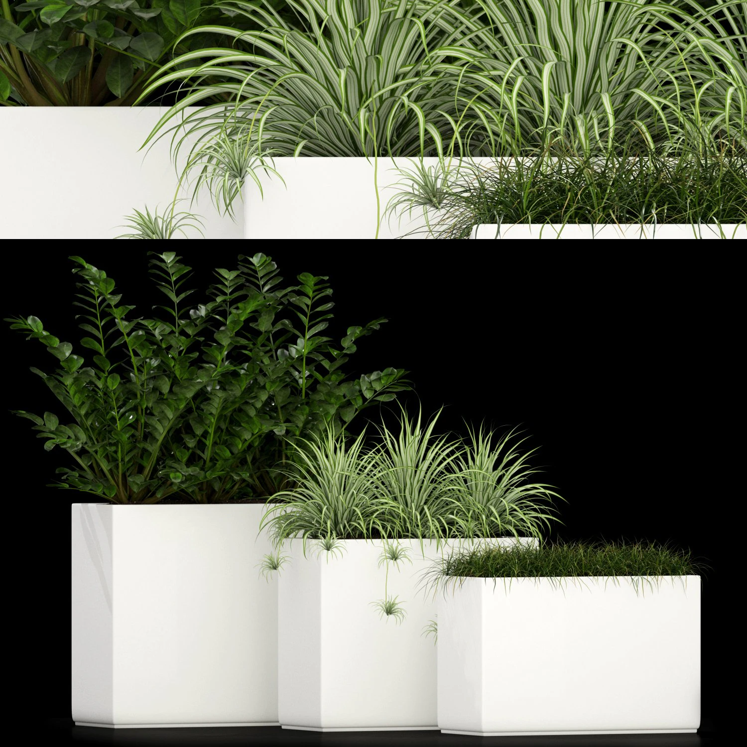 Plants collection 186 3D Model .c4d .max .obj .3ds .fbx .stl .blend 